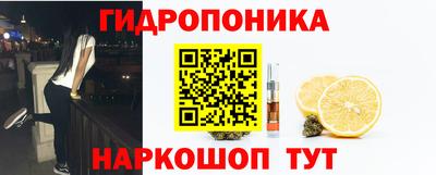 стаф Бузулук