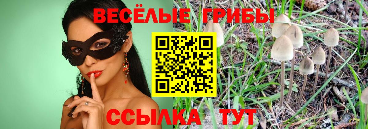 Псилоцибиновые грибы GOLDEN TEACHER Лобня
